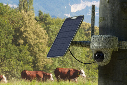 4G Live View Wildlife & Farm Security Camera